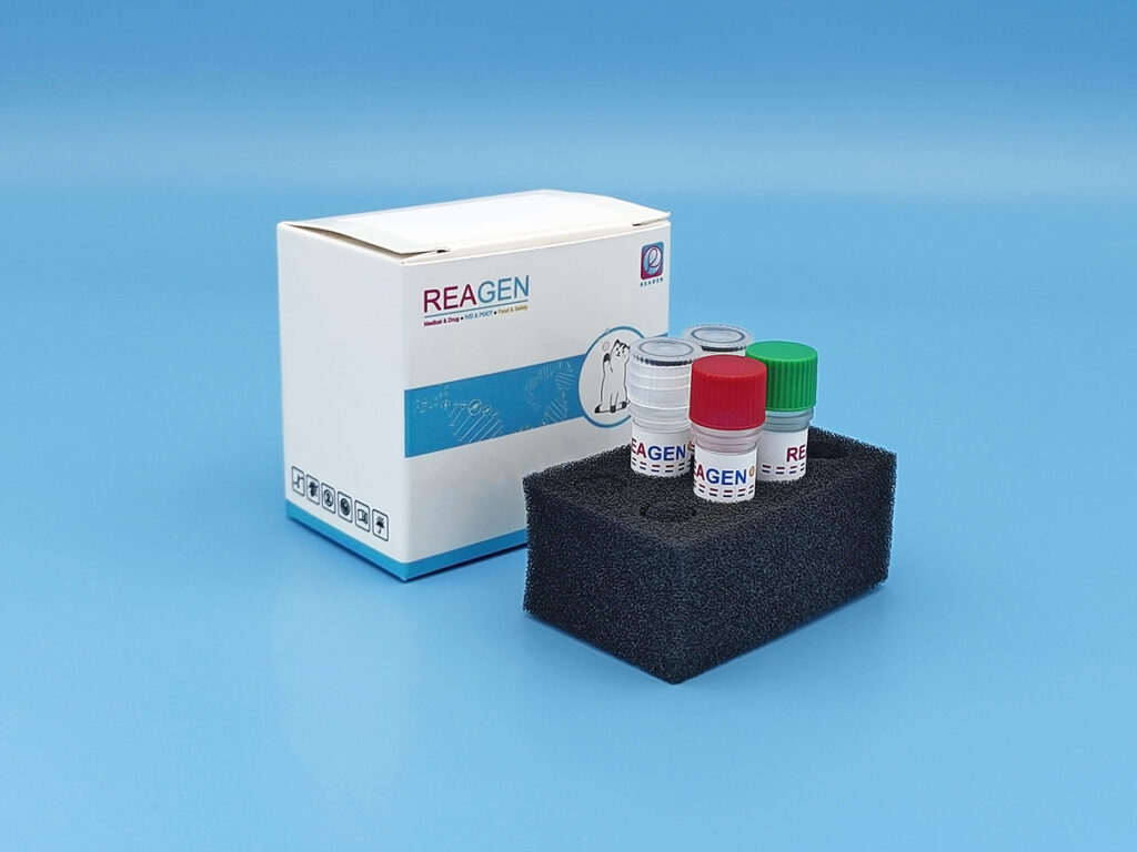 CCV Real-Time Fluorescence PCR Detection Kit