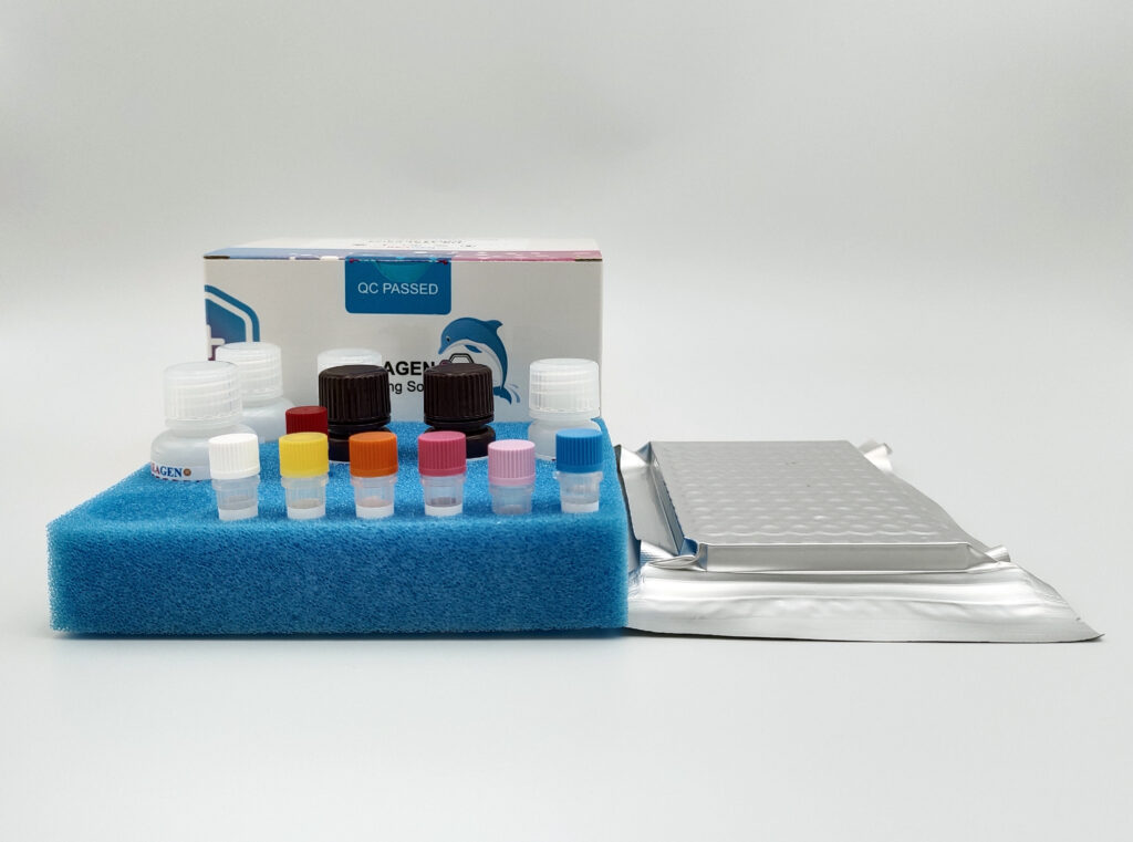 Aminoglycosides ELISA Test Kit