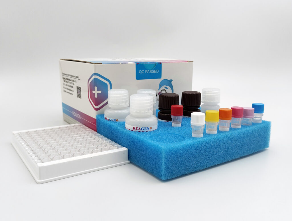 Cyproheptadine ELISA Test Kit