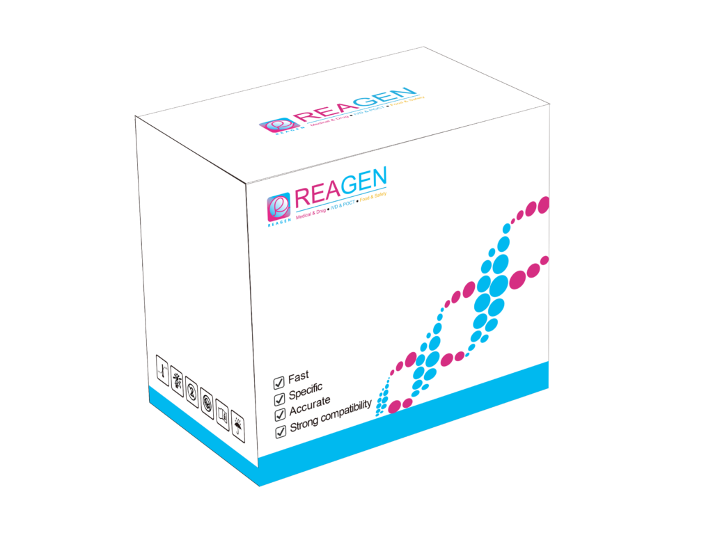 Mycobacterium Tuberculosis Real-Time Fluorescence PCR Detection Kit