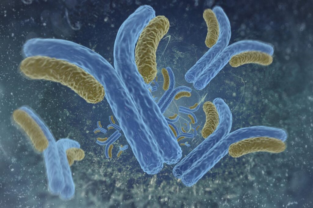 TIF1?(Transcriptional intermediary factor 1d) Monoclonal Antibody